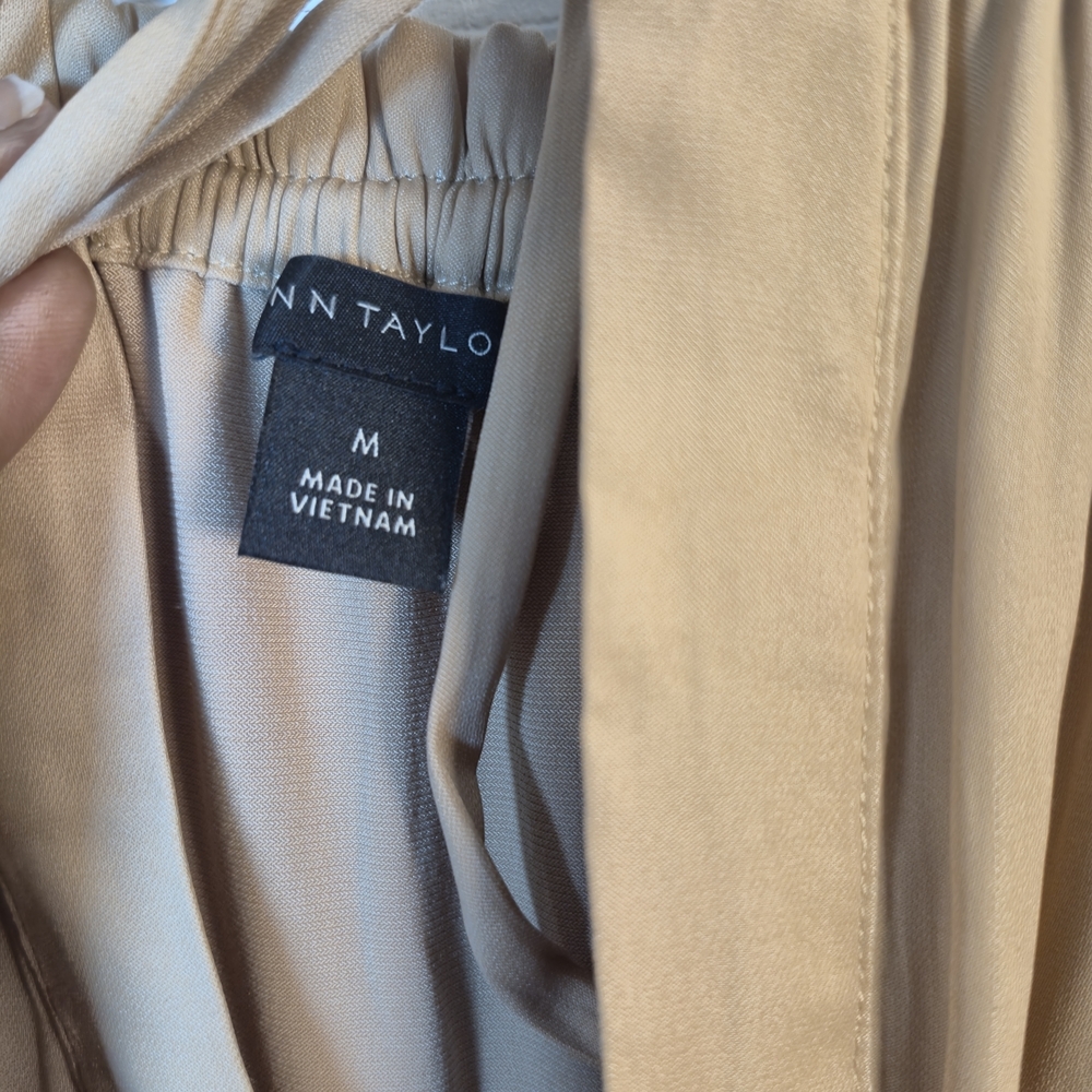 Ann Taylor Champagne Satin Peasant Blouse Boho Tie Neck Bishop Sleeve M - Picture 5 of 6